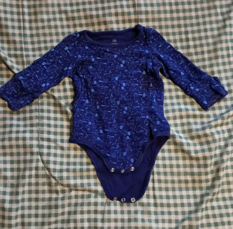 Lote de Bodies para Bebé con Diseños Variados