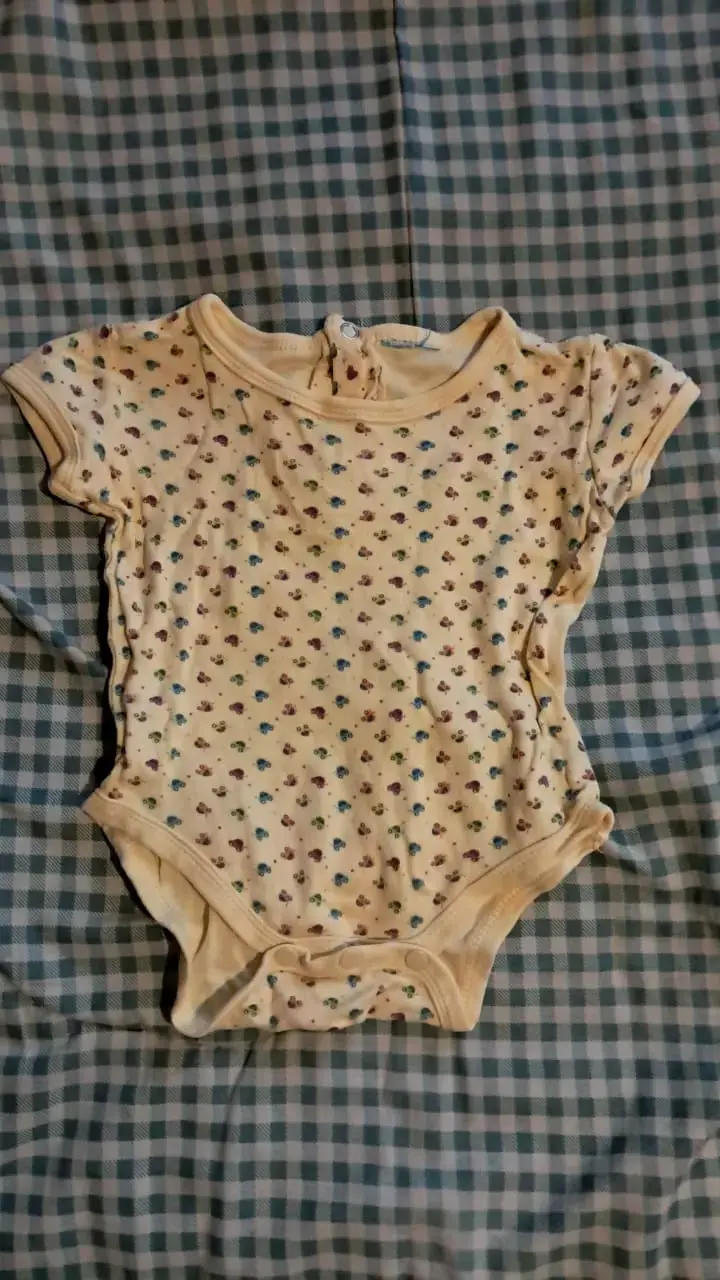 Lote de Bodies para Bebé con Diseños Variados - 2
