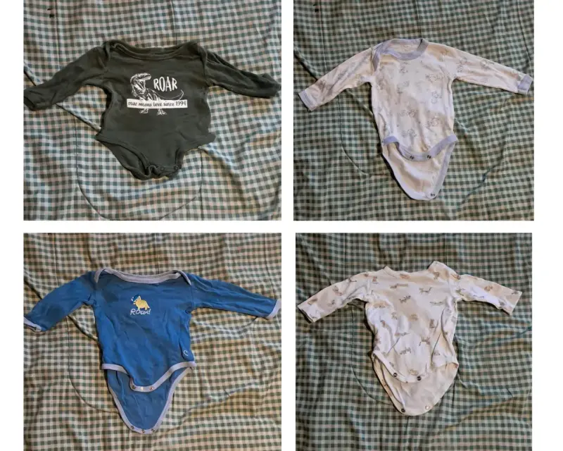 Lote de Bodies para Bebé con Diseños Variados - 5