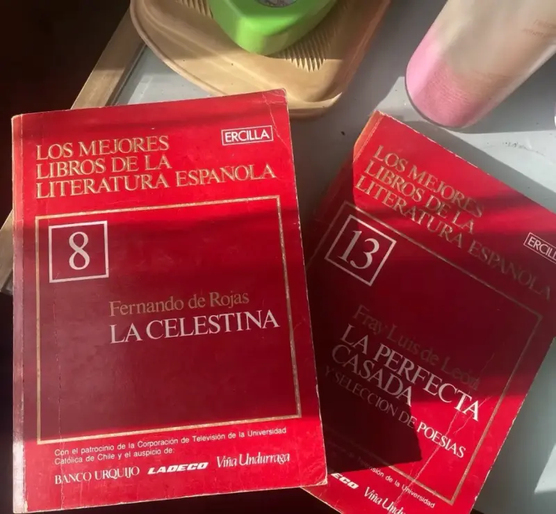 Colección de libros de literatura española Ercilla
