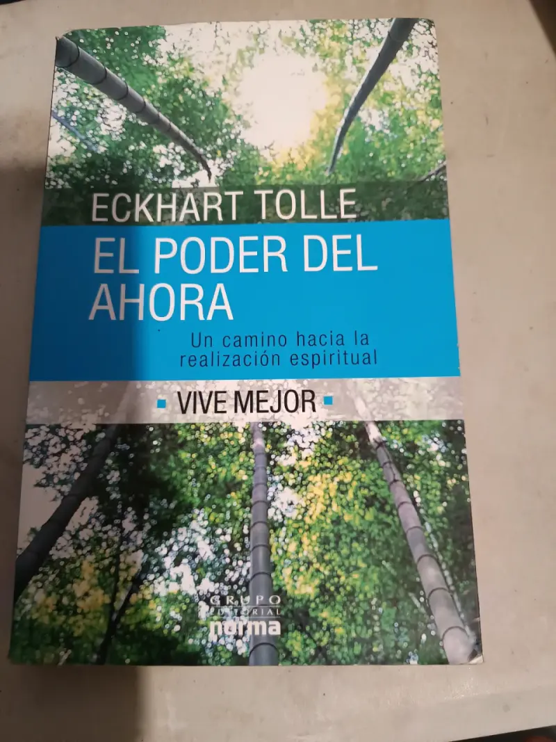 Libro El Poder del Ahora de Eckhart Tolle