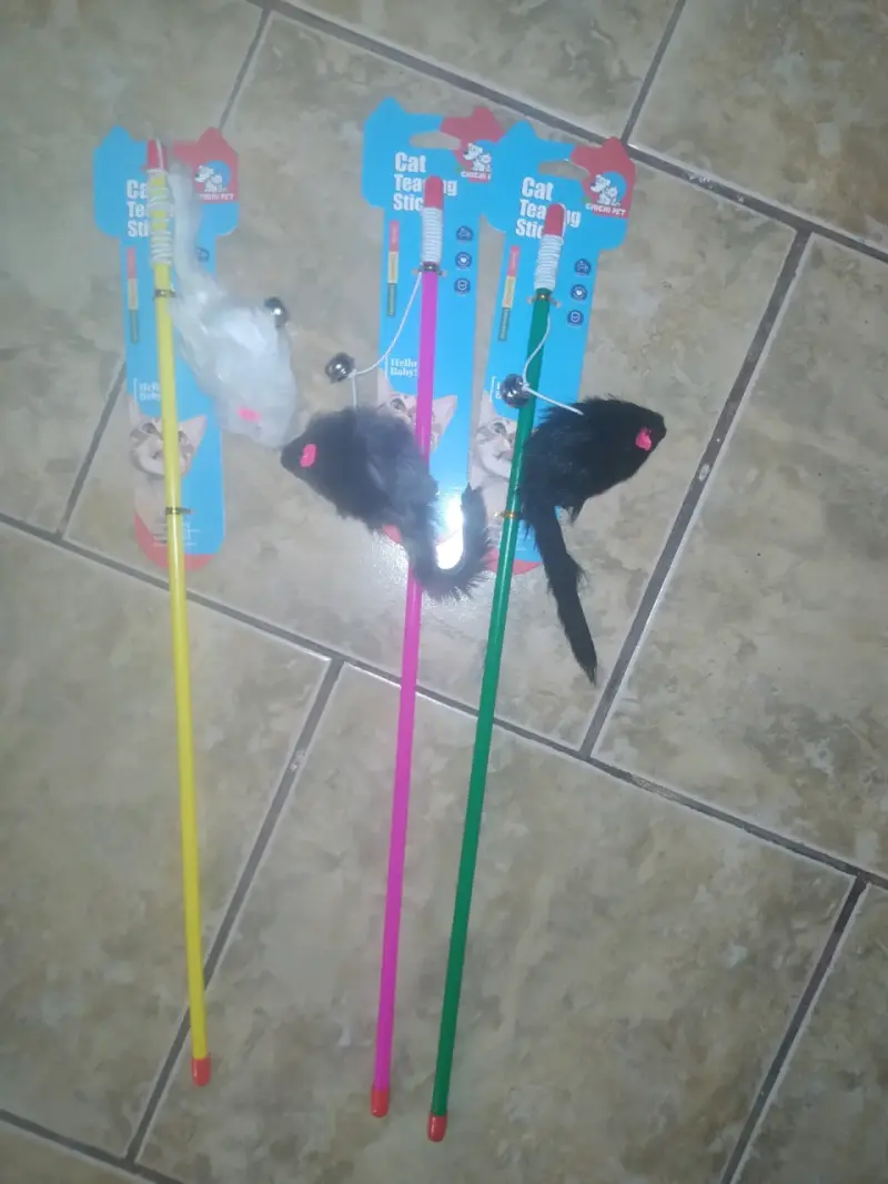 Juguetes y collares para mascotas - 5