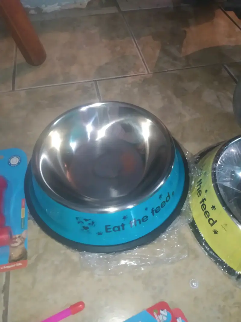Plato de acero inoxidable para mascotas - 1