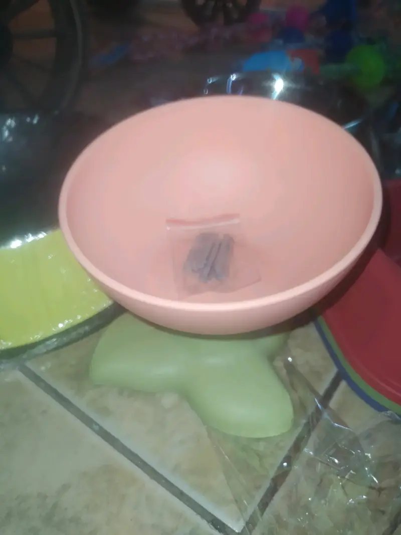 Plato de mascotas con pedestal - 2