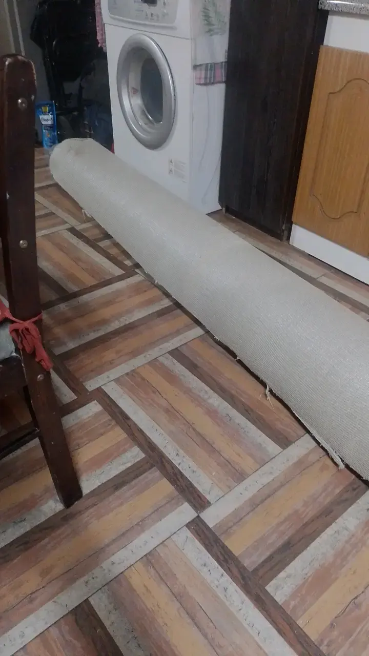Alfombra de 3.70*6mts de largo - 1