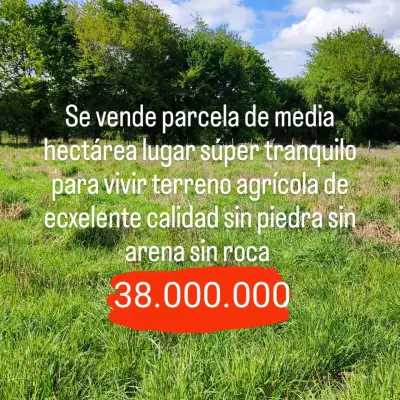 Parcela de 5000 m2 en Los Ángeles con acceso a luz - miniatura 2