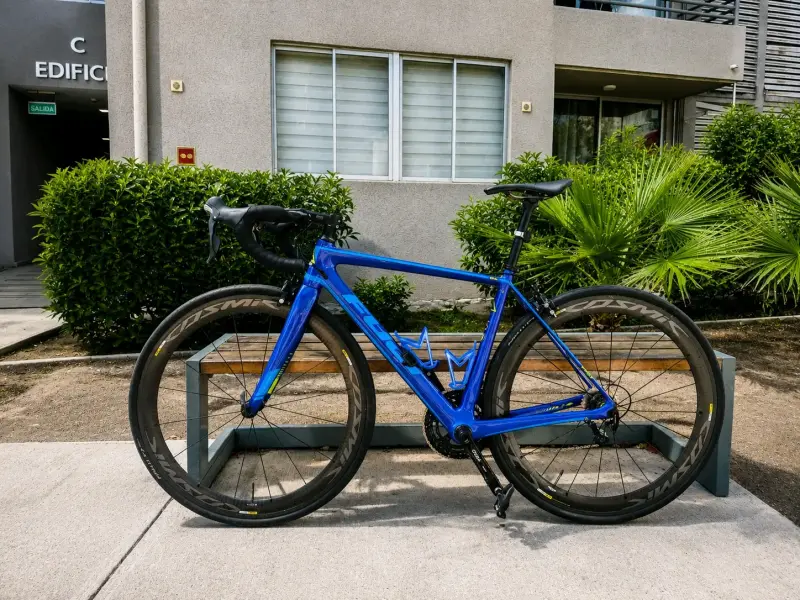 Bicicleta Fuji SL 3.3 carbono - 1