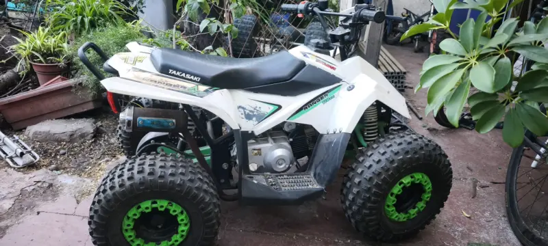 Cuatrimoto 110cc - 1
