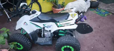 Cuatrimoto 110cc - miniatura 2