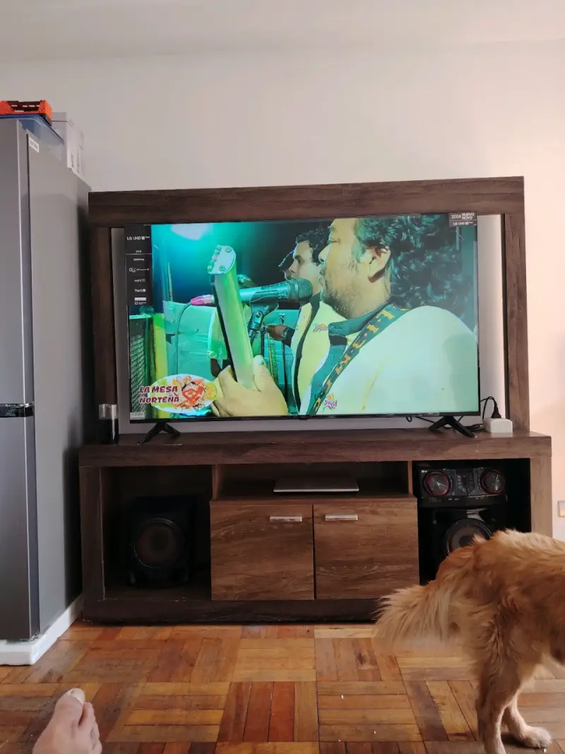 Televisor LG 65 pulgadas Full HD con soporte