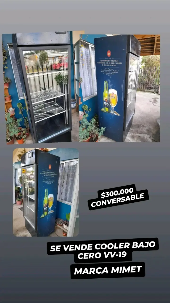 Cooler Bajo Cero VV-19 Mimet en buen estado