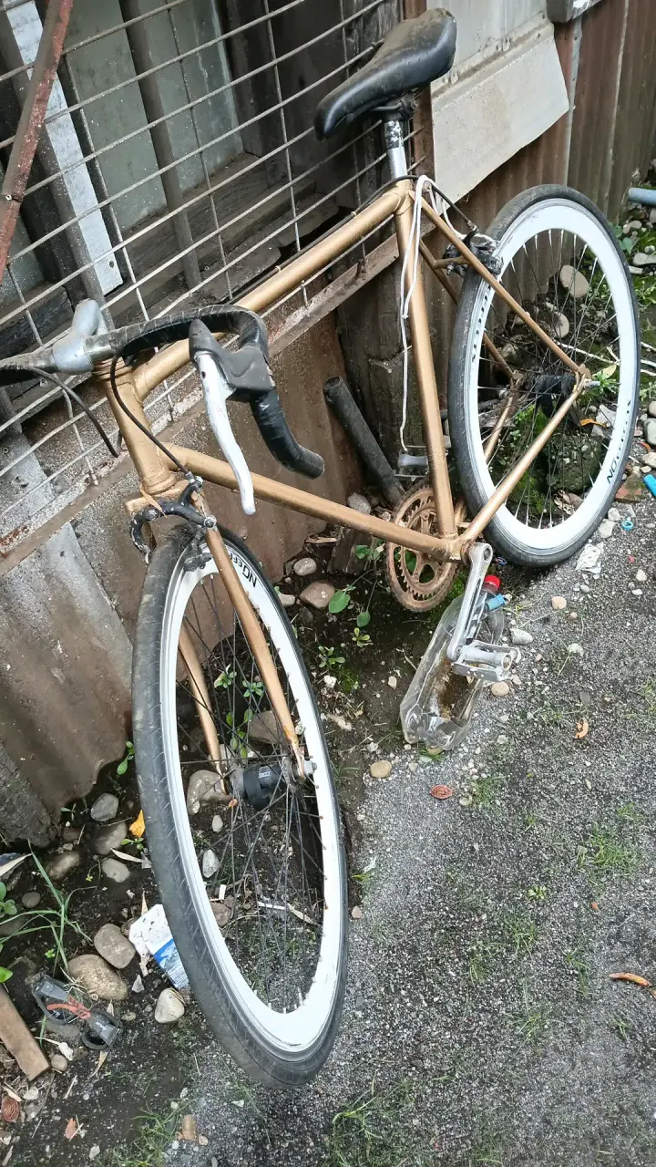 Bicicleta de carretera vintage