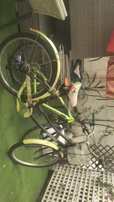 Bicicleta Oxford Cyclotour con canasto - miniatura 1