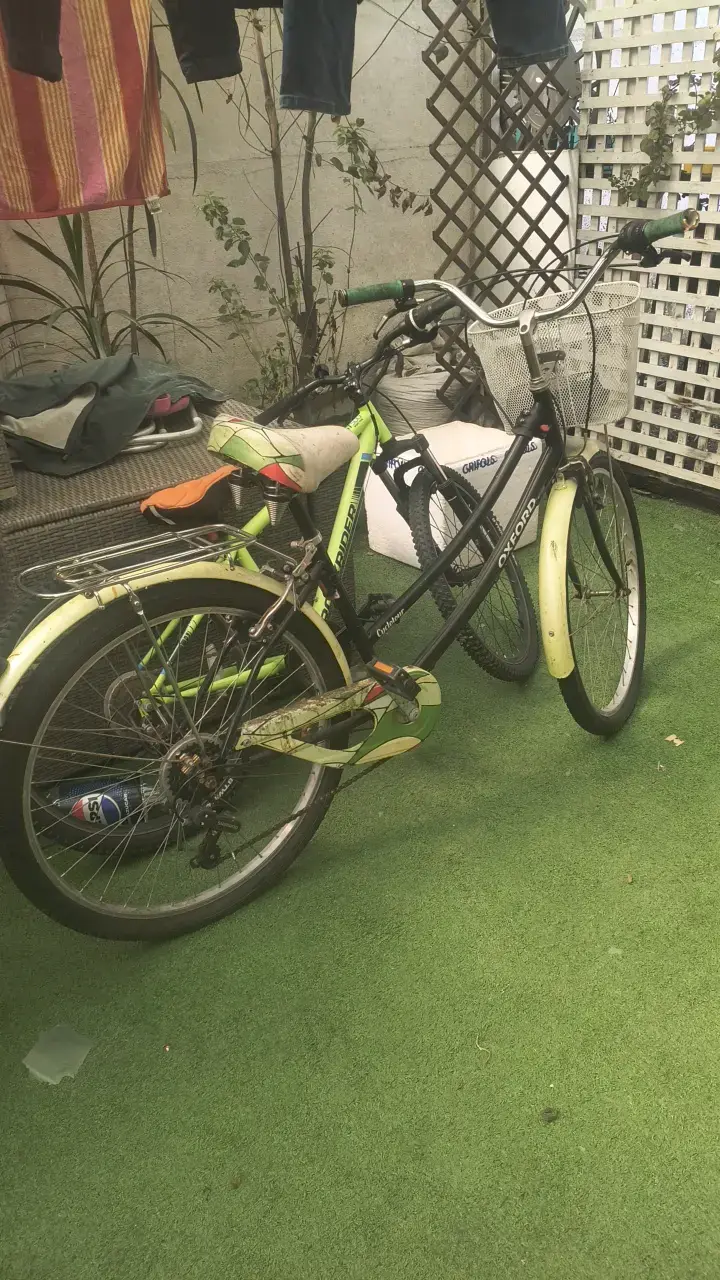 Bicicleta Oxford Cyclotour con canasto - 2