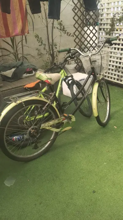 Bicicleta Oxford Cyclotour con canasto - miniatura 2