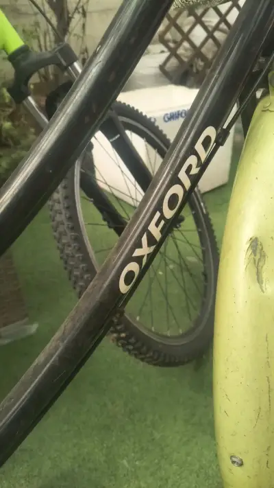 Bicicleta Oxford Cyclotour con canasto - miniatura 3
