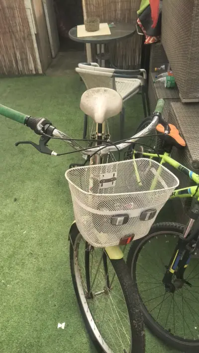 Bicicleta Oxford Cyclotour con canasto - miniatura 5