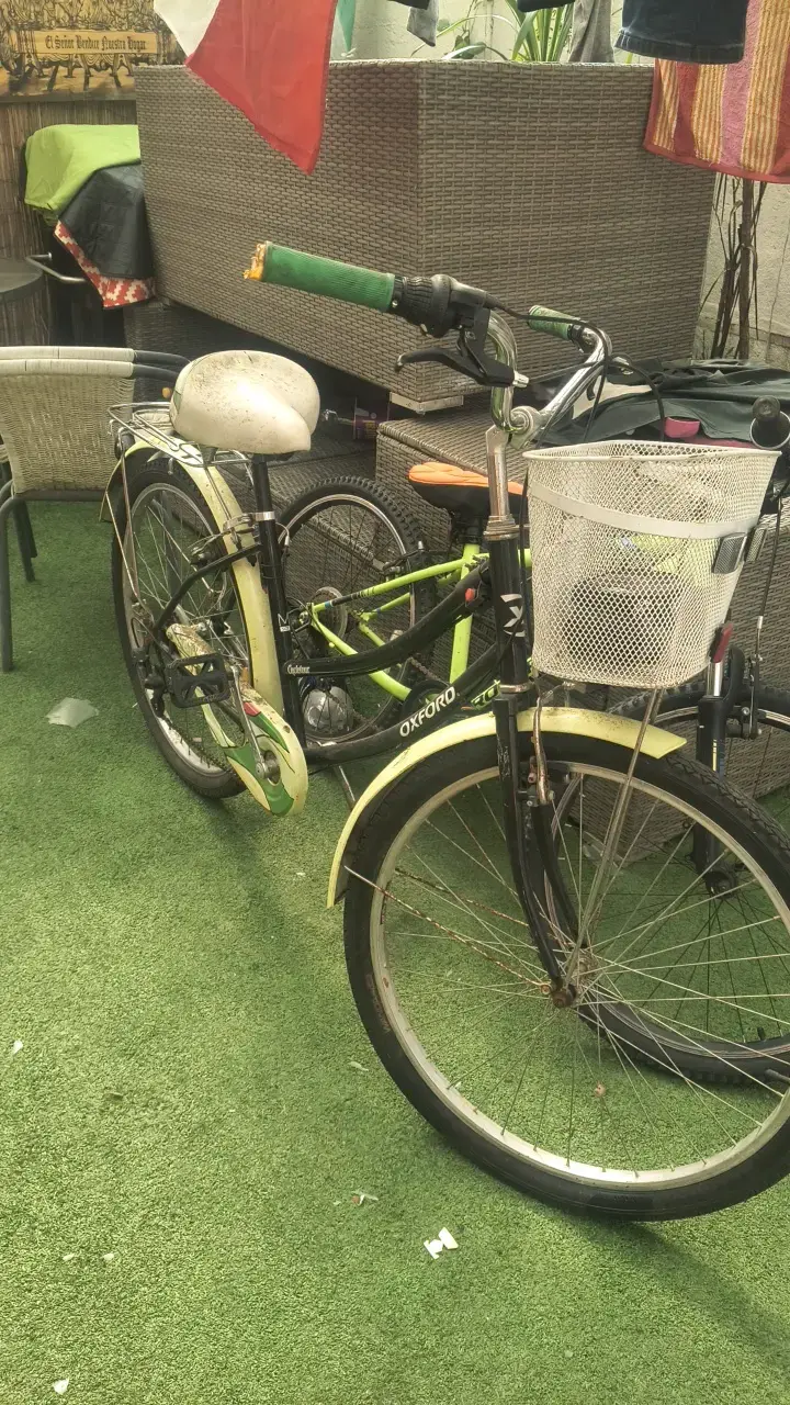 Bicicleta Oxford Cyclotour con canasto - 6