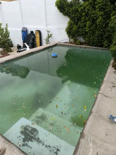 Mantención y recuperación de piscinas 🏊‍♀️🌞 - miniatura 1