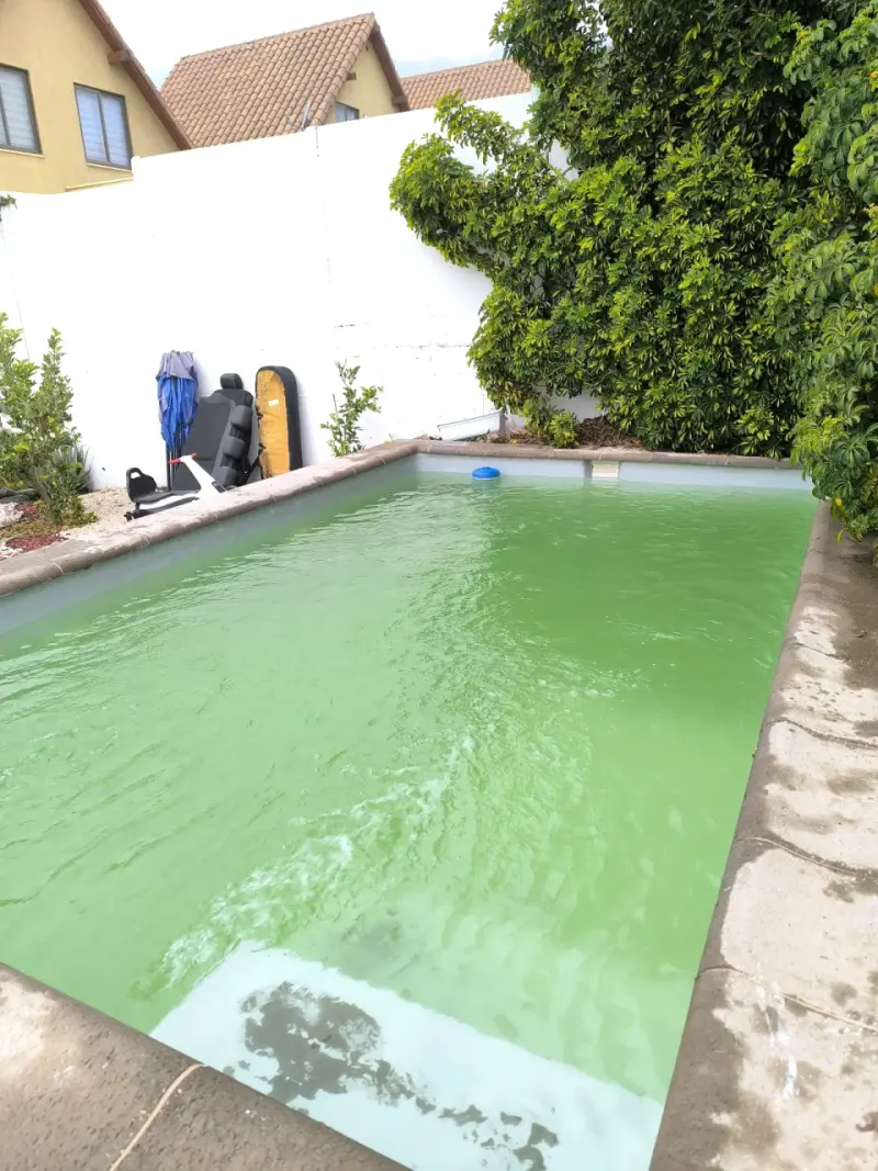 Mantención y recuperación de piscinas 🏊‍♀️🌞 - 2