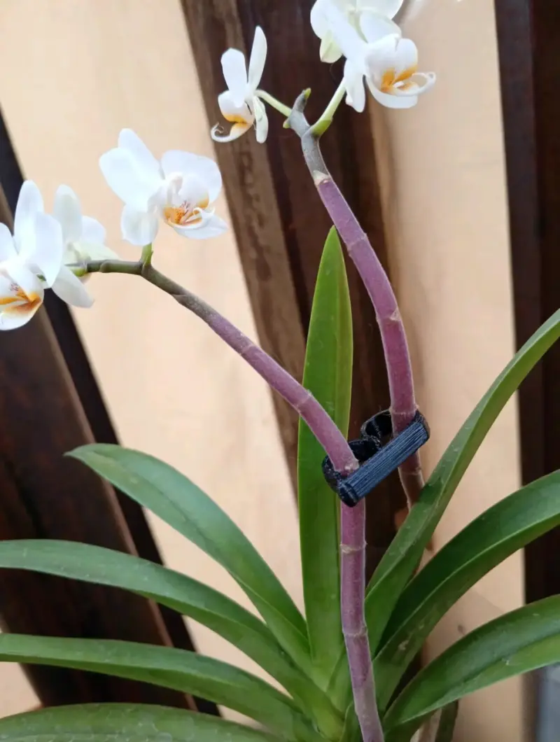 Clips de Soporte para Plantas de Jardín - 2