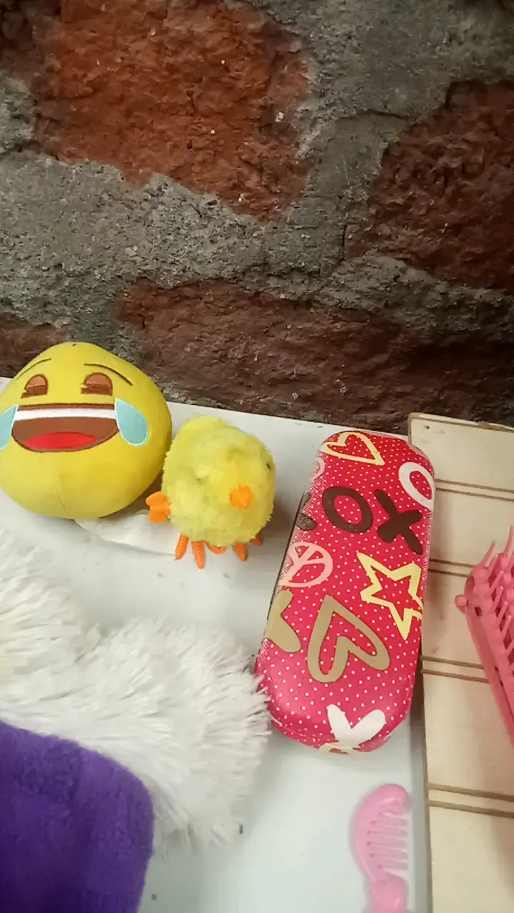 Set de juguetes de peluche y accesorios para niños - 4