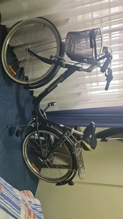 Bicicleta Oxford de mujer con canasto - miniatura 2