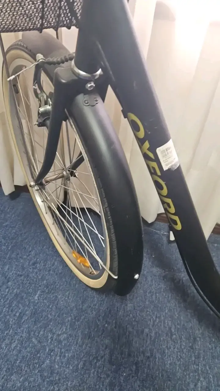 Bicicleta Oxford de mujer con canasto - 4
