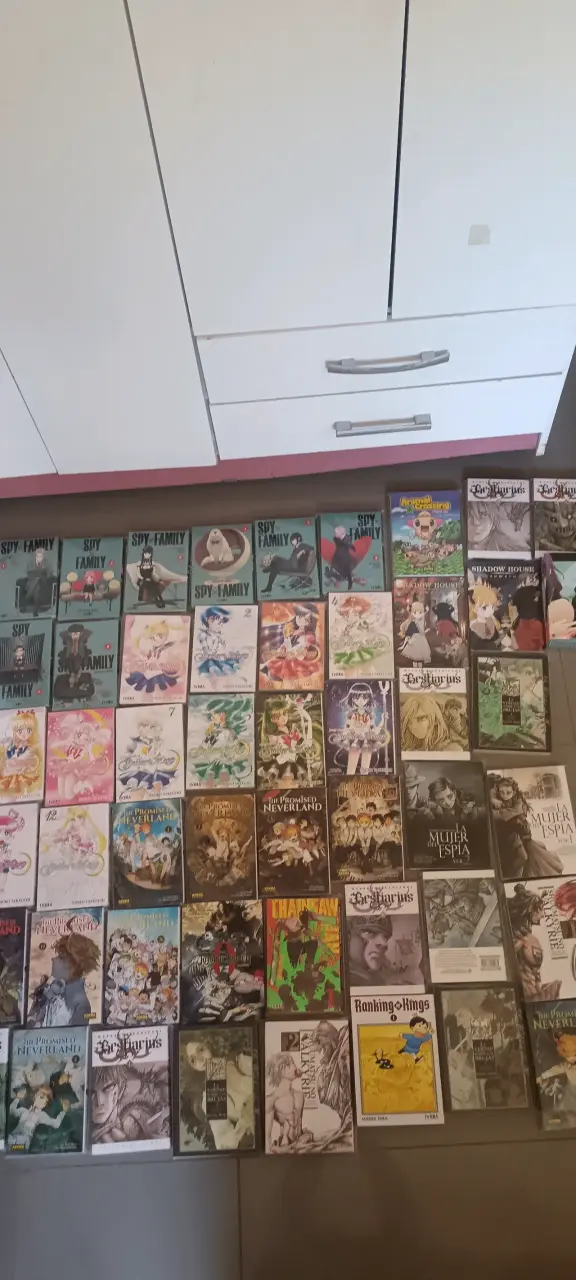 Colección de mangas variados en buen estado