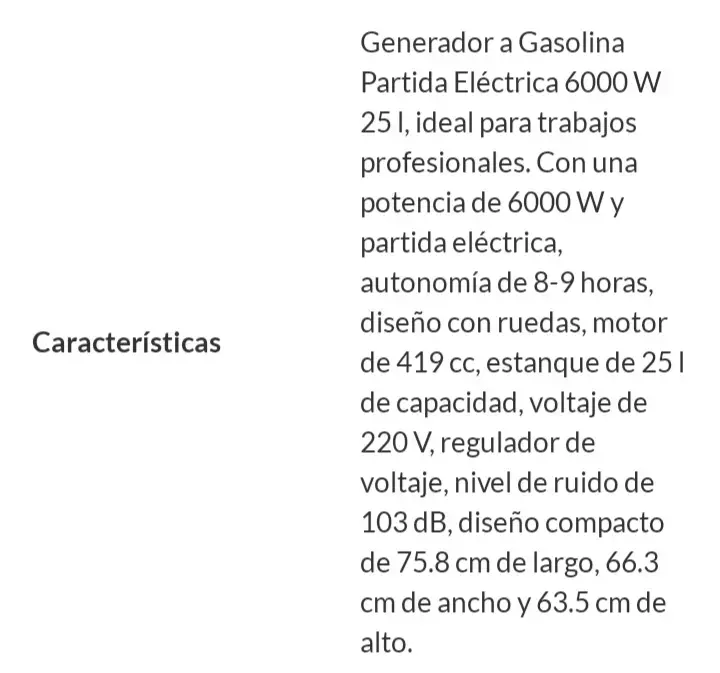 Generador a Gasolina Bauker GG6300E 6000W - 4