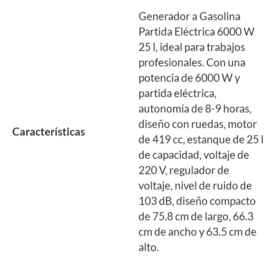 Generador a Gasolina Bauker GG6300E 6000W - miniatura 4