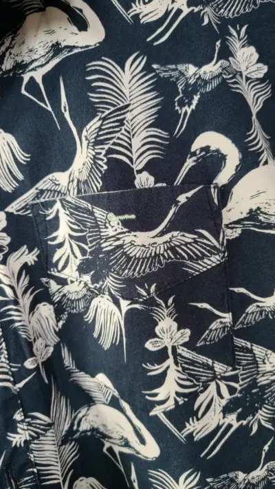 Camisa estampada de flamencos Cuidado con el Perro - miniatura 3