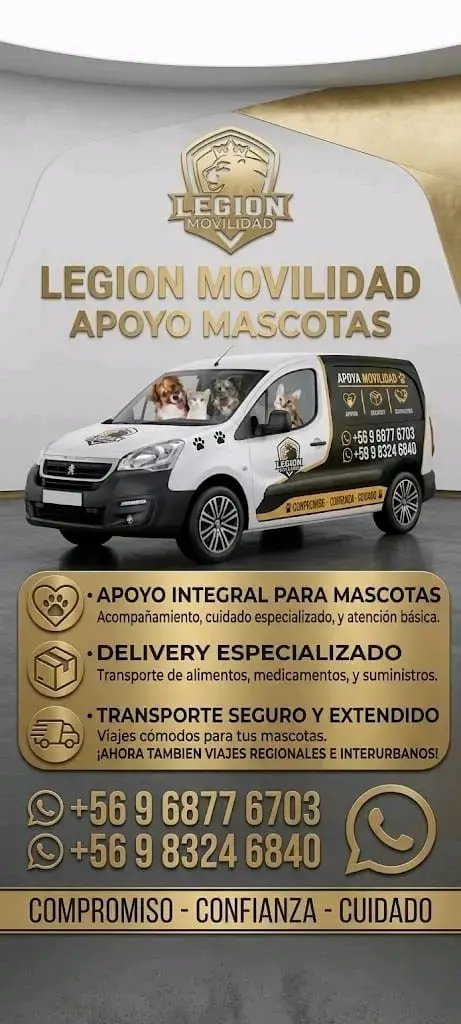 Transporte y Apoyo de mascotas - 1