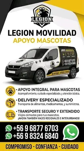 Transporte y Apoyo de mascotas - 3