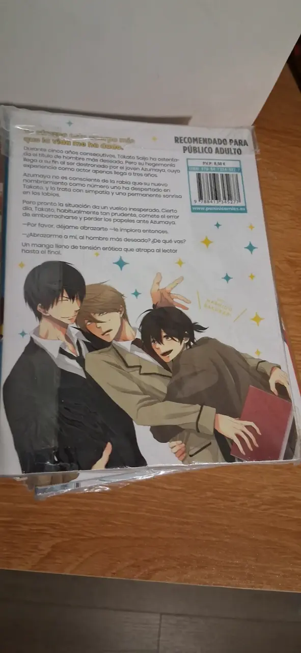 Mangas 'Mi Rival Más Deseado' de Hashigo Sakurabi - 2