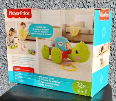 Tortuga de Aprendizaje Fisher-Price para Niños - miniatura 1