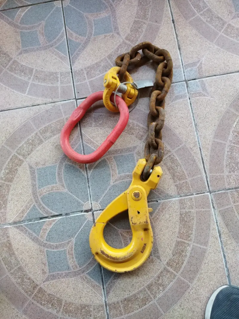 Gancho de elevación con cadena y grillete