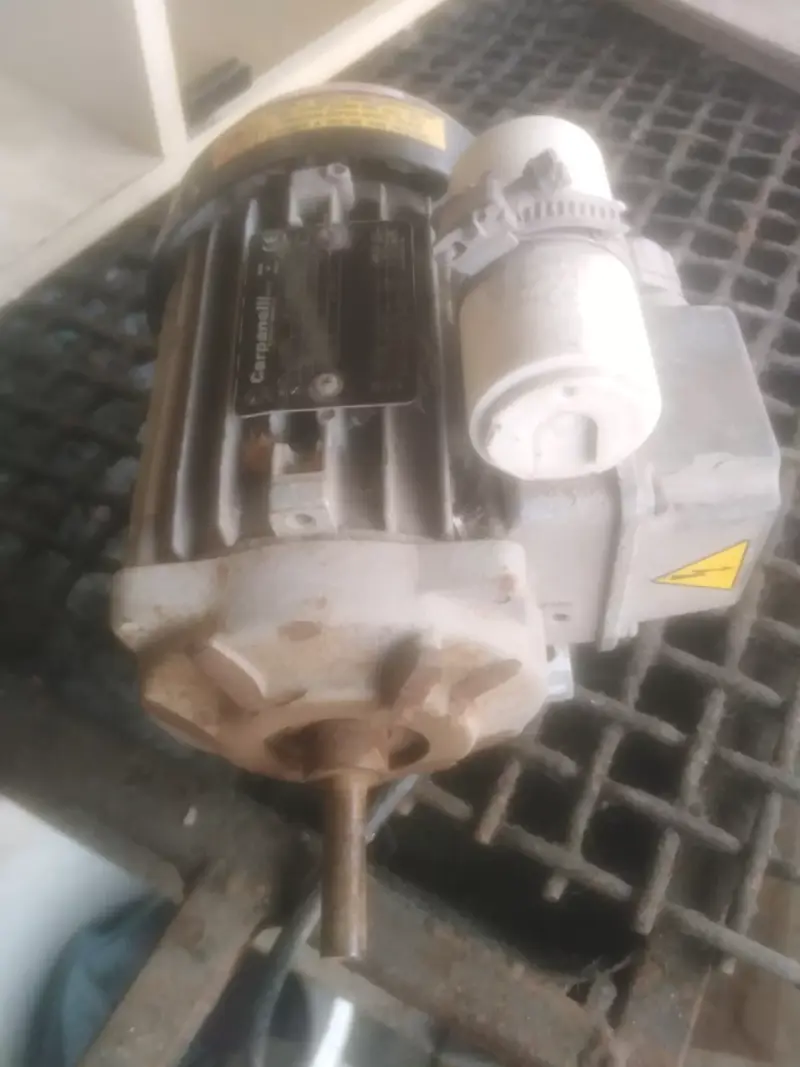 Motor eléctrico Carpanelli trifásico usado - 3