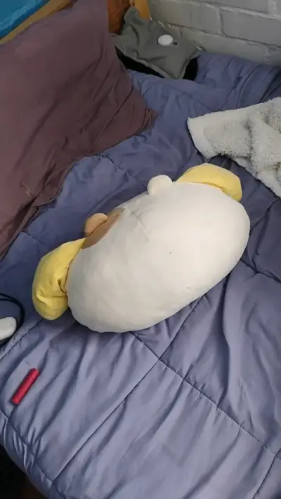 Cojín de peluche amarillo con orejas (pompompurin) - miniatura 2