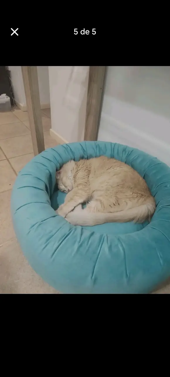 Cama para gato redonda azul - 1
