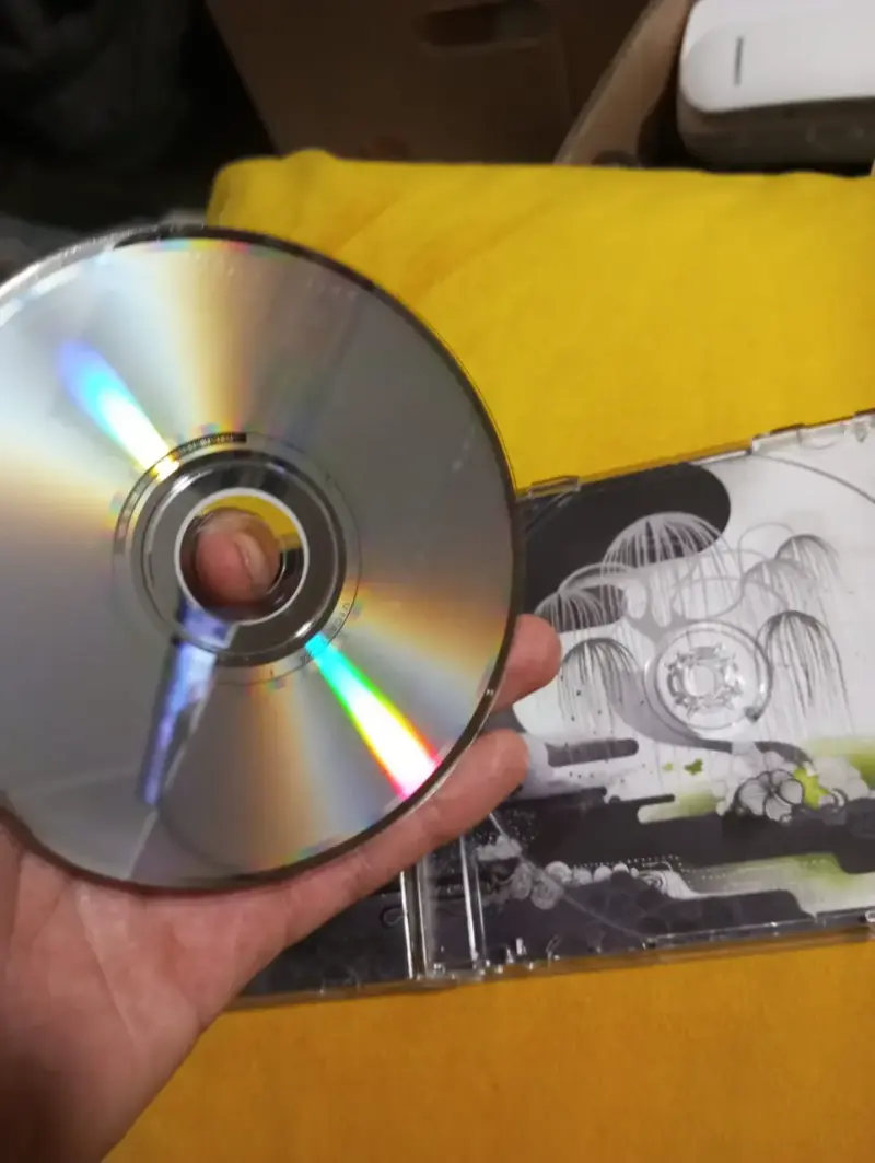 CD Sheryl Crow - Wildflower (Edición Japonesa 14 T - 4