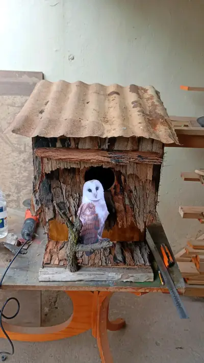 Casita de madera para lechuzas, con diseño rústico - miniatura 1