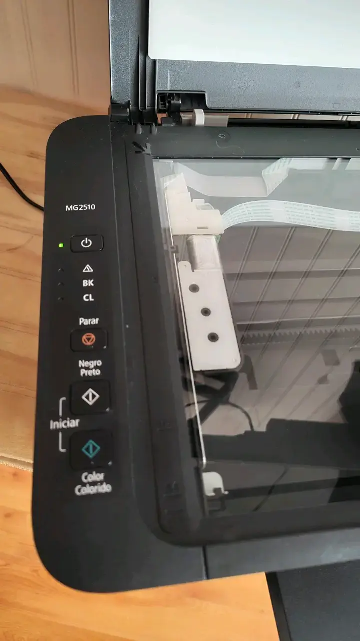 Impresora multifuncional Canon MG2510 con cartuchos