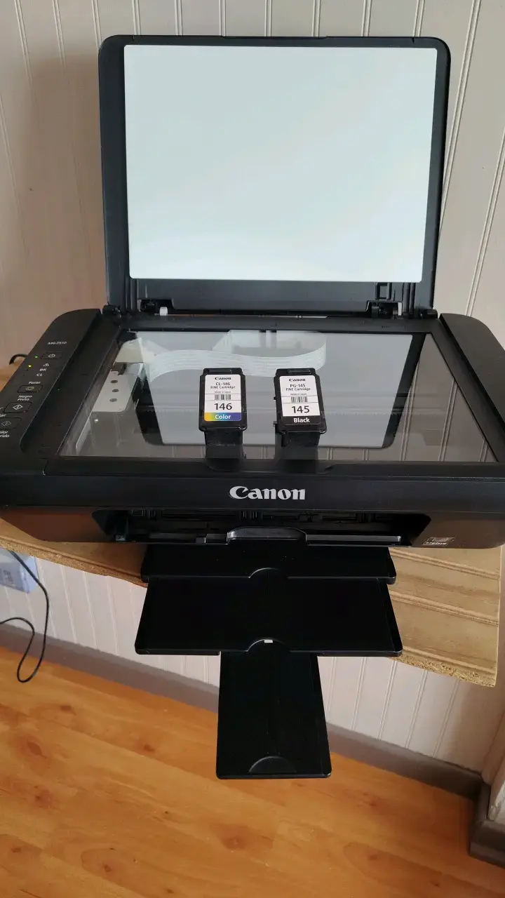 Impresora multifuncional Canon MG2510 con cartuchos - 2