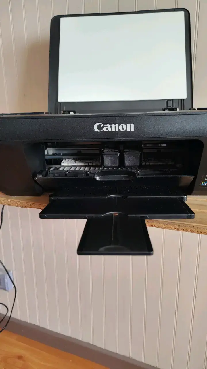 Impresora multifuncional Canon MG2510 con cartuchos - 4