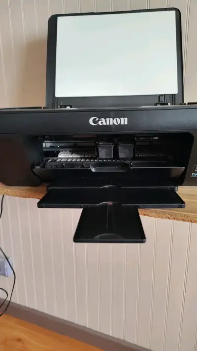 Impresora multifuncional Canon MG2510 con cartuchos - miniatura 4