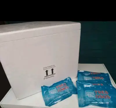 Caja térmica con gel refrigerante Tres Osos - miniatura 1