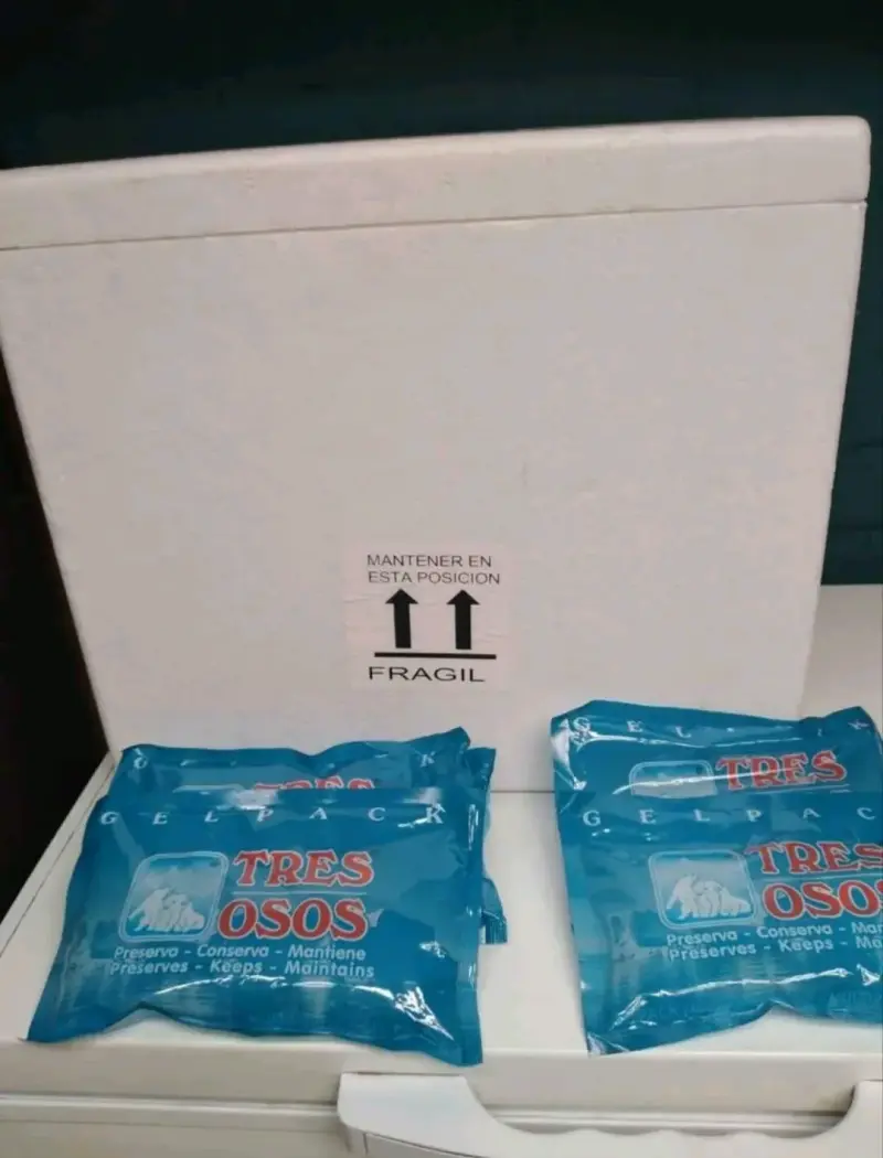 Caja térmica con gel refrigerante Tres Osos - 2