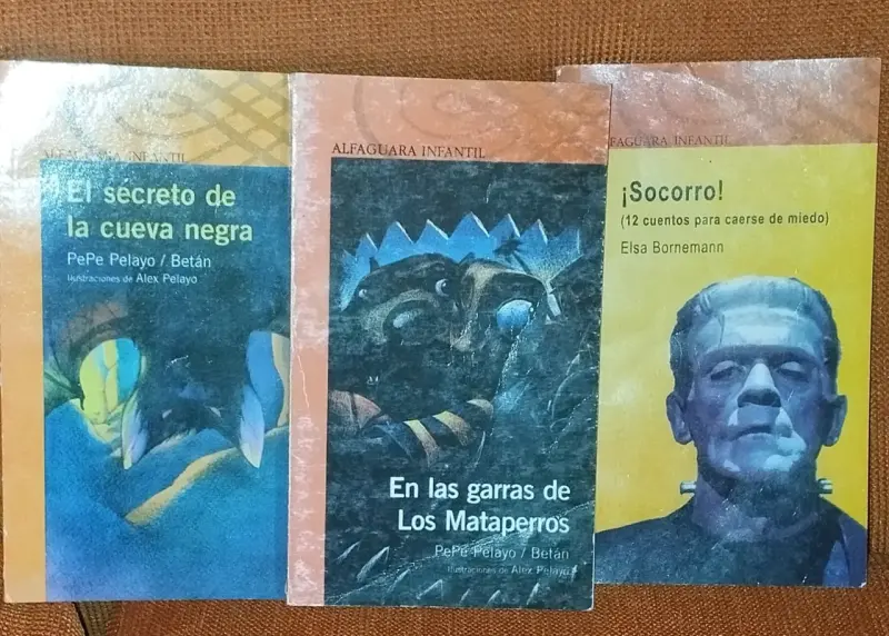 Lote de libros infantiles y juveniles variados - 2