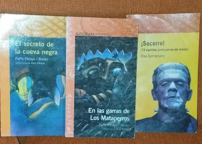 Lote de libros infantiles y juveniles variados - miniatura 2